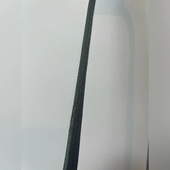 Disney Dooney & Bourke Haunted Mansion Portrait Crossbody Purse - Picture 15 of 15